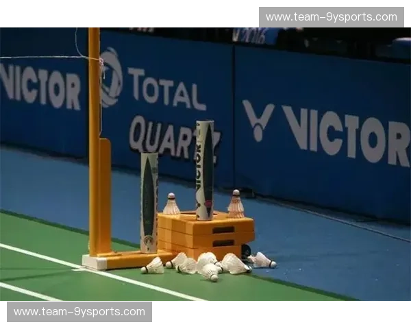 韩国队直播：沉浸式观赛体验，和球星零距离